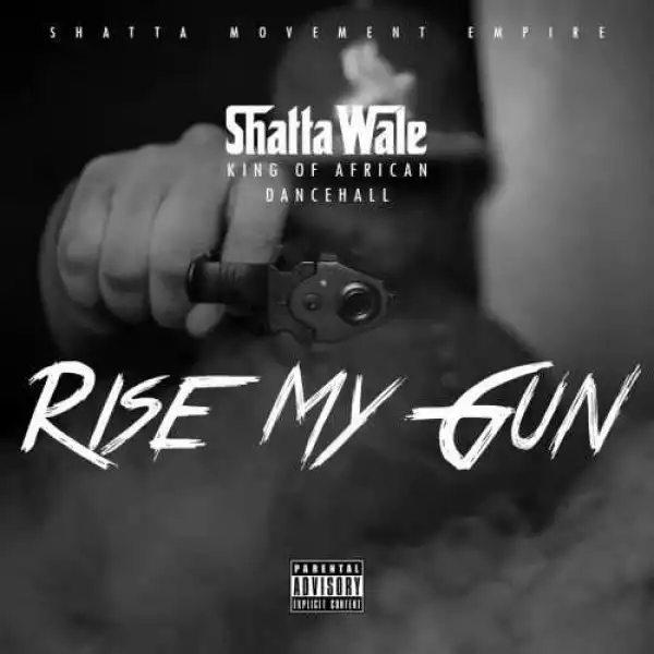 Shatta Wale - Rise My Gun (Prod By DJ Breezy)